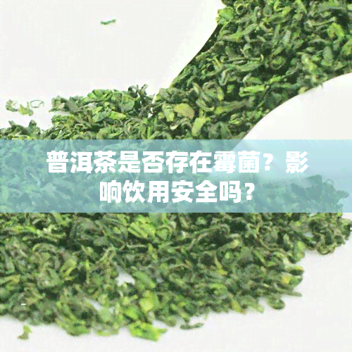 普洱茶是否存在霉菌？影响饮用安全吗？