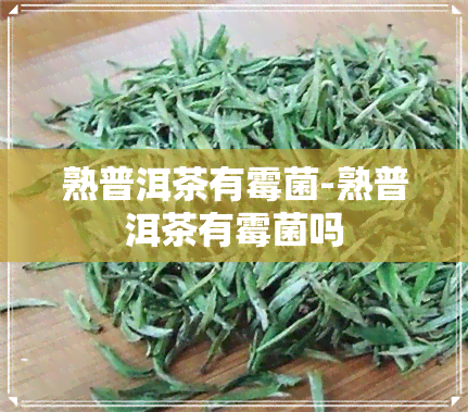 熟普洱茶有霉菌-熟普洱茶有霉菌吗