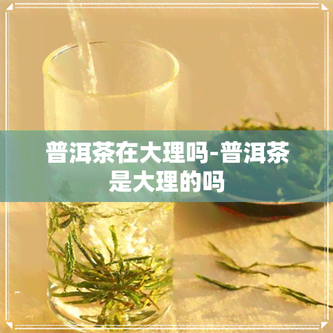 普洱茶在大理吗-普洱茶是大理的吗