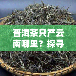 普洱茶只产云南哪里？探寻其产地分布与品质之最！