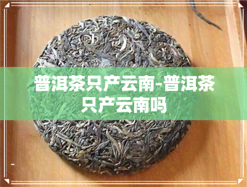 普洱茶只产云南-普洱茶只产云南吗