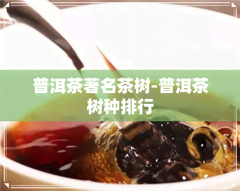 普洱茶著名茶树-普洱茶树种排行