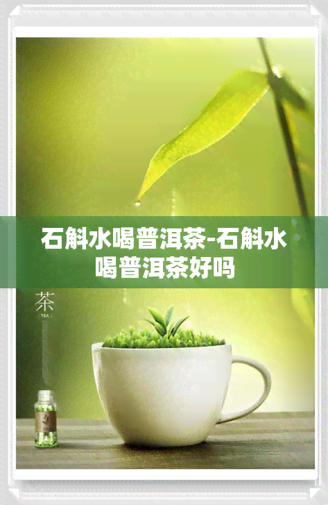 石斛水喝普洱茶-石斛水喝普洱茶好吗