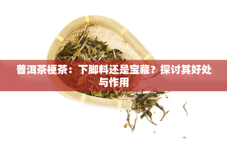 普洱茶梗茶：下脚料还是宝藏？探讨其好处与作用