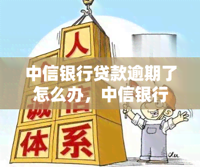 中信银行贷款逾期了怎么办，中信银行贷款逾期处理方法解析