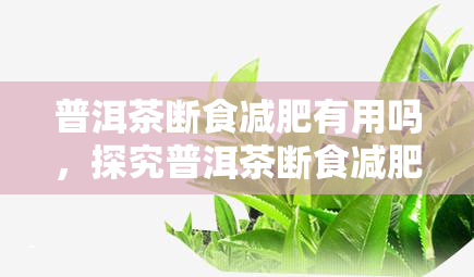 普洱茶断食减肥有用吗，探究普洱茶断食减肥的效果：真的有效吗？