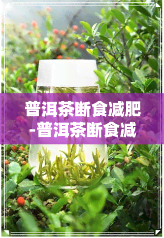 普洱茶断食减肥-普洱茶断食减肥可以喝吗