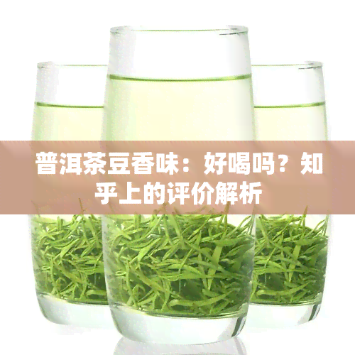 普洱茶豆香味：好喝吗？知乎上的评价解析