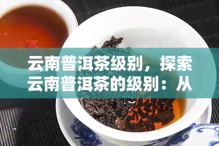 云南普洱茶级别，探索云南普洱茶的级别：从初级到高级的全面解析