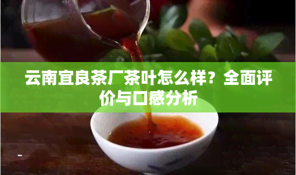 云南宜良茶厂茶叶怎么样？全面评价与口感分析