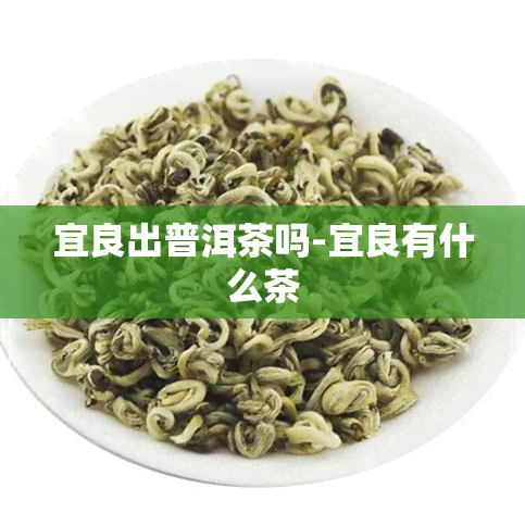 宜良出普洱茶吗-宜良有什么茶