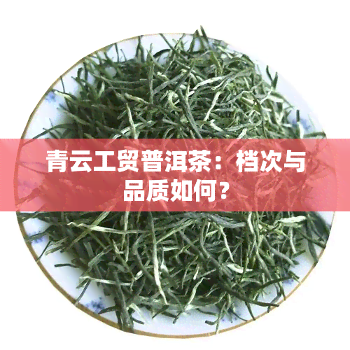 青云工贸普洱茶：档次与品质如何？