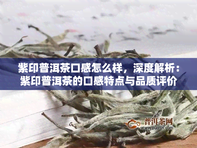 紫印普洱茶口感怎么样，深度解析：紫印普洱茶的口感特点与品质评价