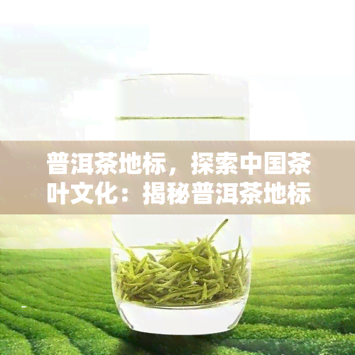 普洱茶地标，探索中国茶叶文化：揭秘普洱茶地标的重要性和魅力