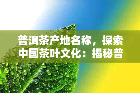 普洱茶产地名称，探索中国茶叶文化：揭秘普洱茶的故乡——云南普洱产区