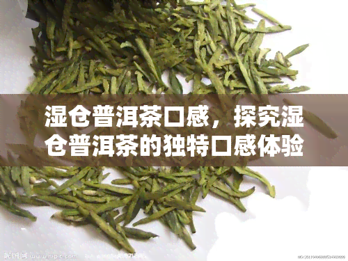 湿仓普洱茶口感，探究湿仓普洱茶的独特口感体验