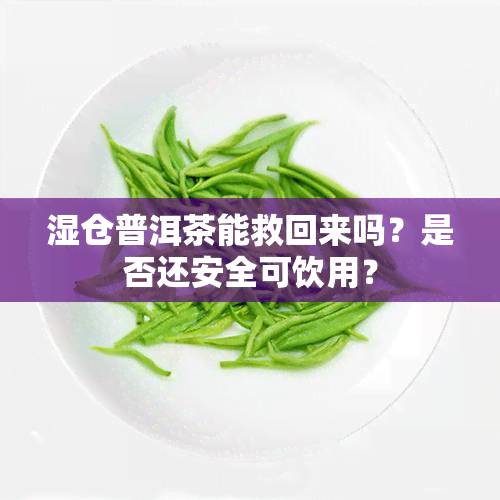 湿仓普洱茶能救回来吗？是否还安全可饮用？