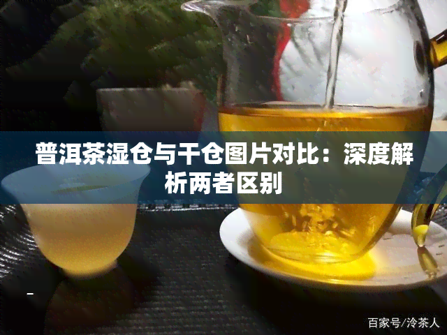 普洱茶湿仓与干仓图片对比：深度解析两者区别