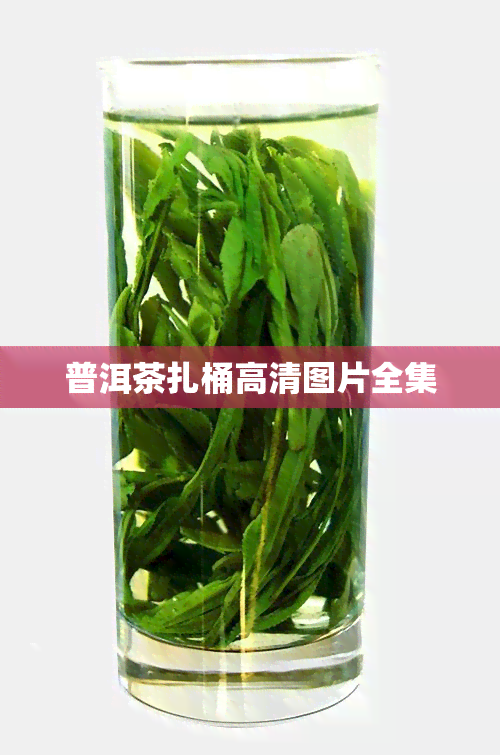 普洱茶扎桶高清图片全集