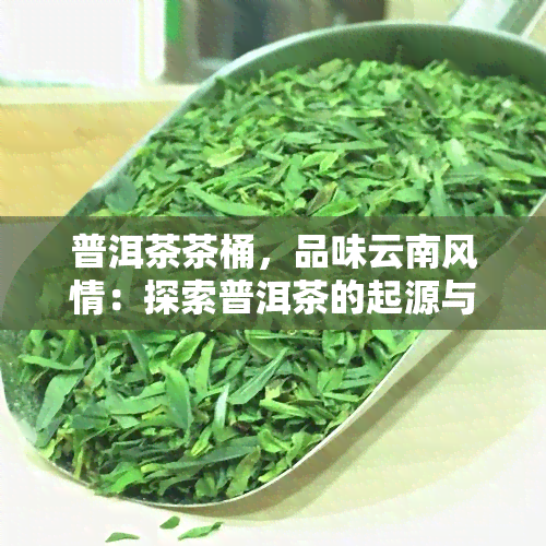 普洱茶茶桶，品味云南风情：探索普洱茶的起源与文化，带你走进茶桶的世界