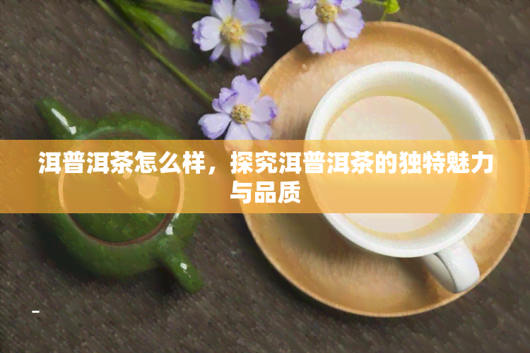 洱普洱茶怎么样，探究洱普洱茶的独特魅力与品质