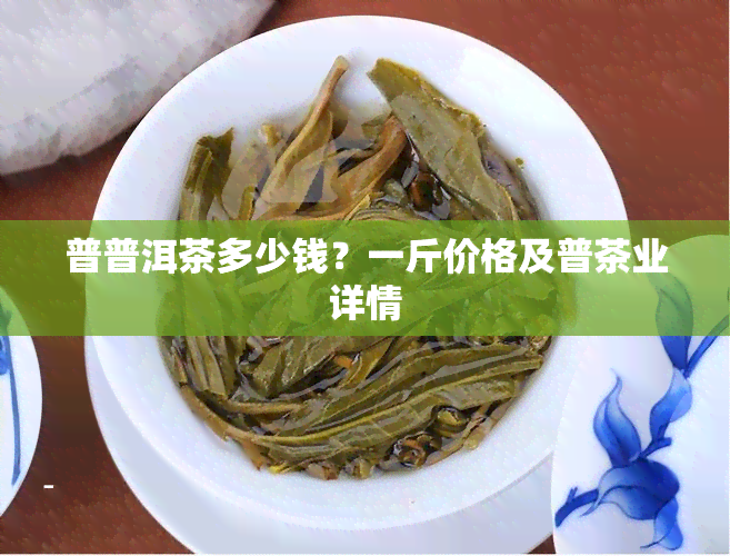 普普洱茶多少钱？一斤价格及普茶业详情