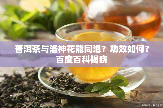 普洱茶与洛神花能同泡？功效如何？百度百科揭晓