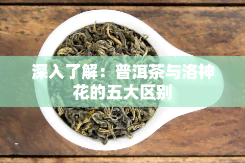 深入了解：普洱茶与洛神花的五大区别