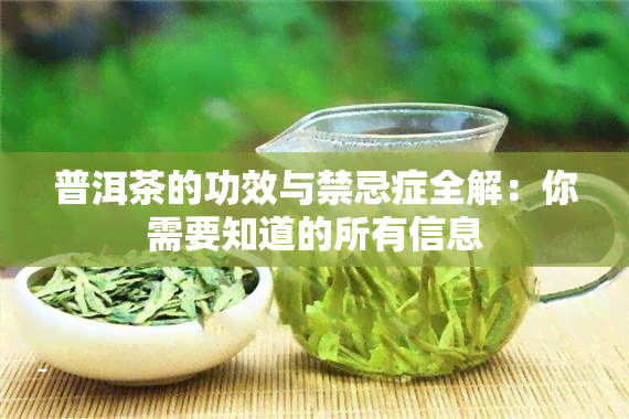 普洱茶的功效与禁忌症全解：你需要知道的所有信息