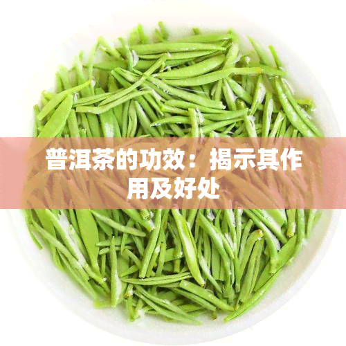 普洱茶的功效：揭示其作用及好处