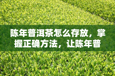 陈年普洱茶怎么存放，掌握正确方法，让陈年普洱茶长久保存！