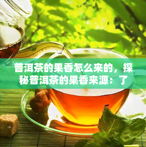 普洱茶的果香怎么来的，探秘普洱茶的果香来源：了解这种独特香气的形成过程