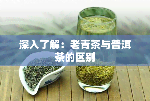 深入了解：老青茶与普洱茶的区别