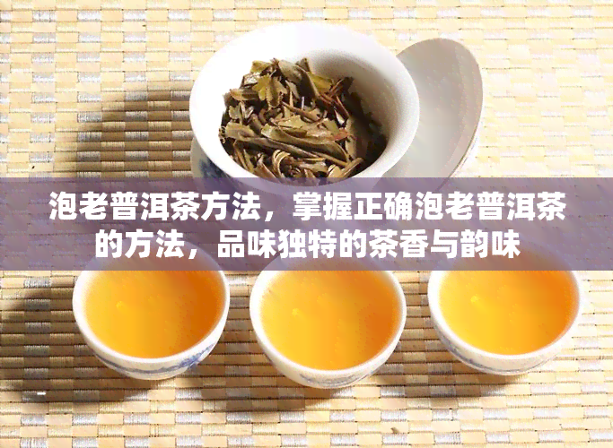 泡老普洱茶方法，掌握正确泡老普洱茶的方法，品味独特的茶香与韵味