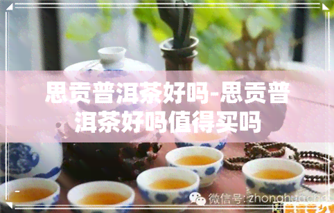 思贡普洱茶好吗-思贡普洱茶好吗值得买吗