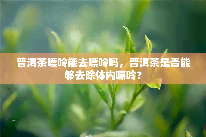 普洱茶嘌呤能去嘌呤吗，普洱茶是否能够去除体内嘌呤？