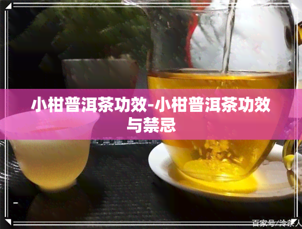 小柑普洱茶功效-小柑普洱茶功效与禁忌