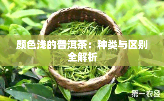 颜色浅的普洱茶：种类与区别全解析