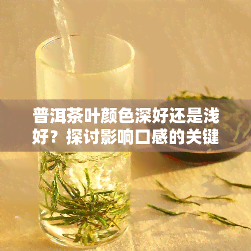 普洱茶叶颜色深好还是浅好？探讨影响口感的关键因素