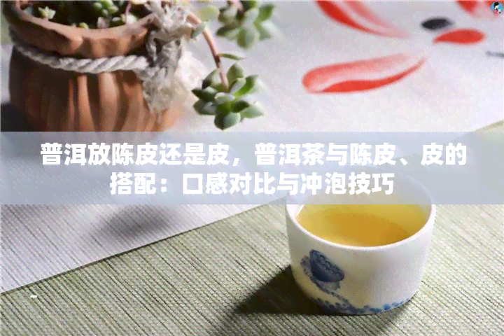 普洱放陈皮还是皮，普洱茶与陈皮、皮的搭配：口感对比与冲泡技巧