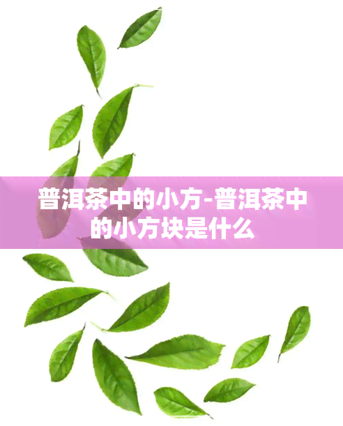 普洱茶中的小方-普洱茶中的小方块是什么