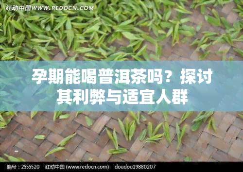 孕期能喝普洱茶吗？探讨其利弊与适宜人群