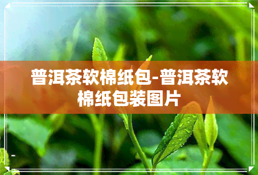 普洱茶软棉纸包-普洱茶软棉纸包装图片