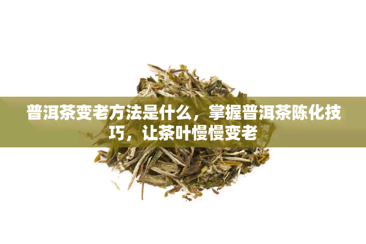 普洱茶变老方法是什么，掌握普洱茶陈化技巧，让茶叶慢慢变老