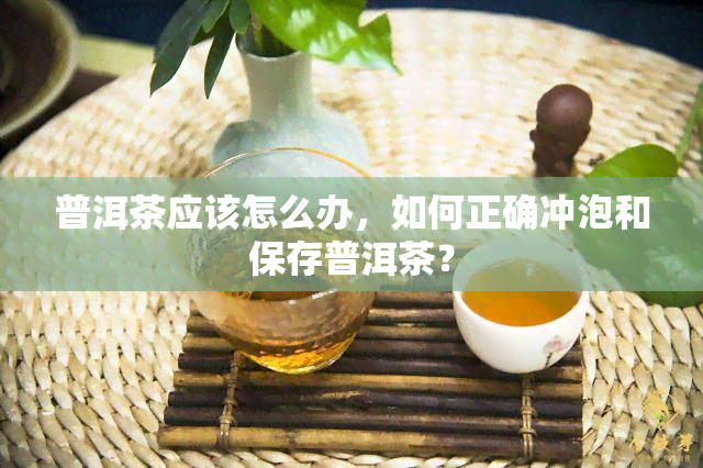 普洱茶应该怎么办，如何正确冲泡和保存普洱茶？