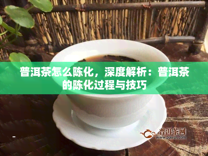 普洱茶怎么陈化，深度解析：普洱茶的陈化过程与技巧