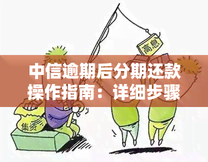 中信逾期后分期还款操作指南：详细步骤解析