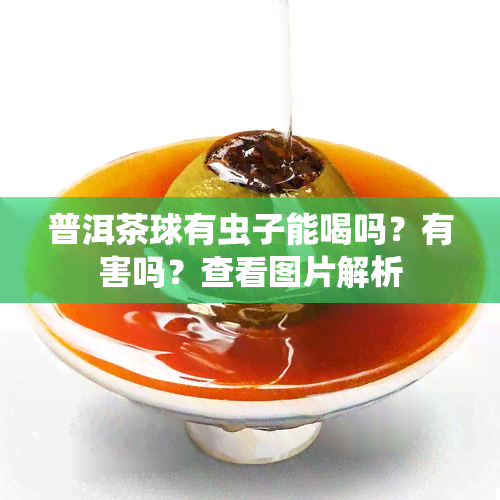 普洱茶球有虫子能喝吗？有害吗？查看图片解析