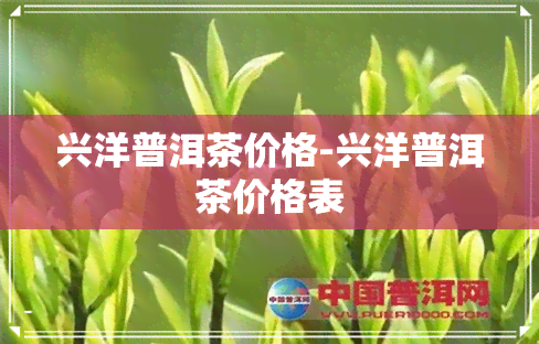 兴洋普洱茶价格-兴洋普洱茶价格表