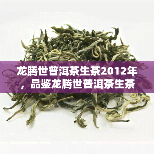 龙腾世普洱茶生茶2012年，品鉴龙腾世普洱茶生茶2012年：一场味蕾的宴